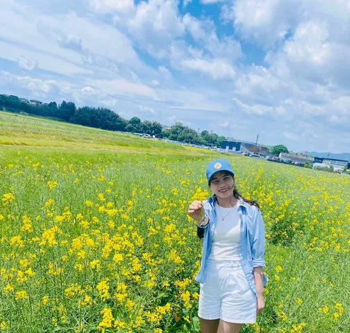 Hằng, Japan