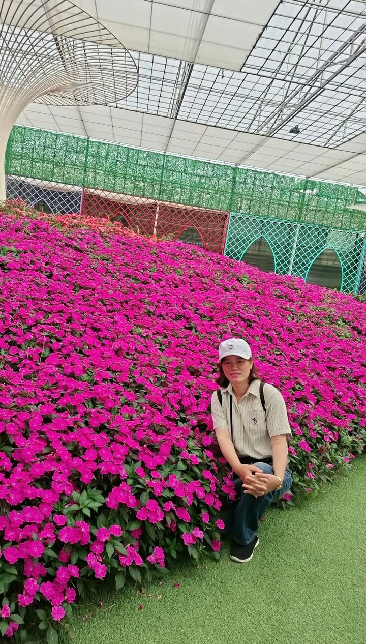Lê Nguyệt