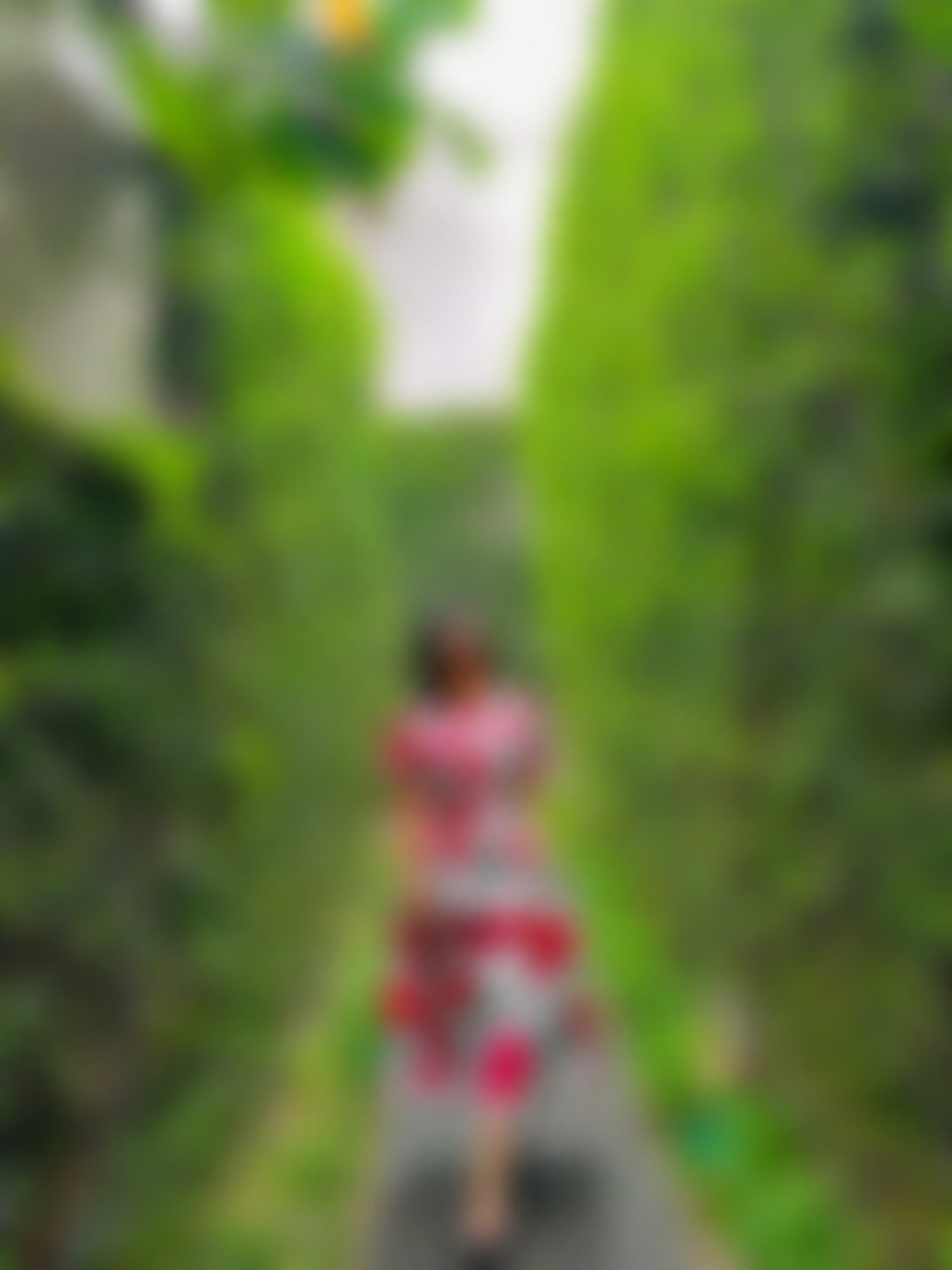 Thanh Ha