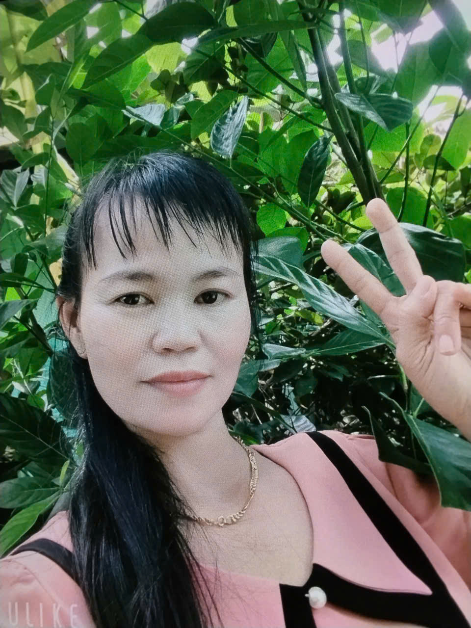 Linh Nguyễn