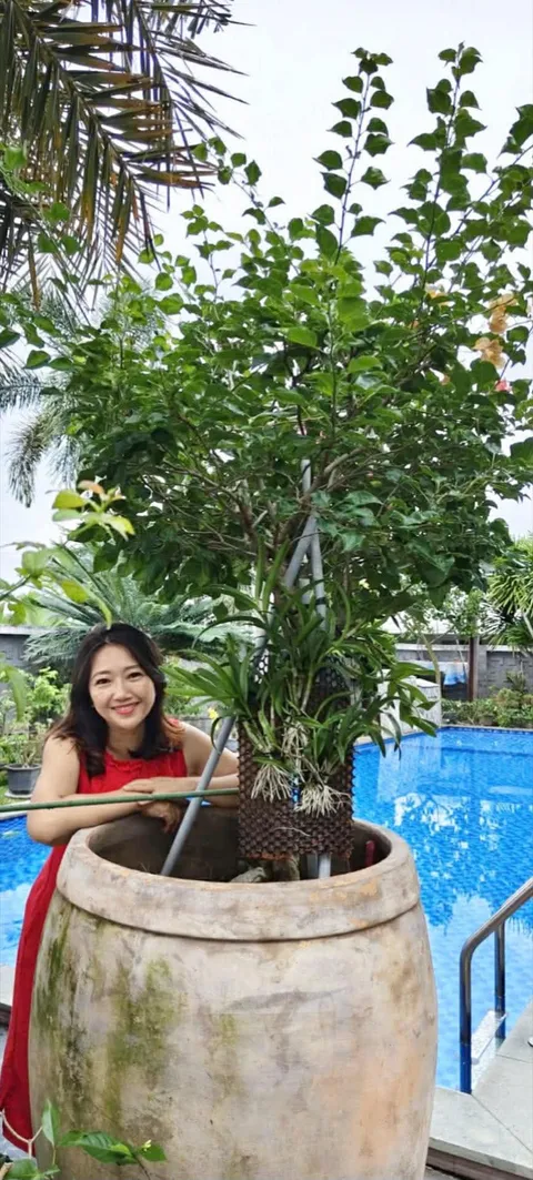 Thoa Huỳnh
