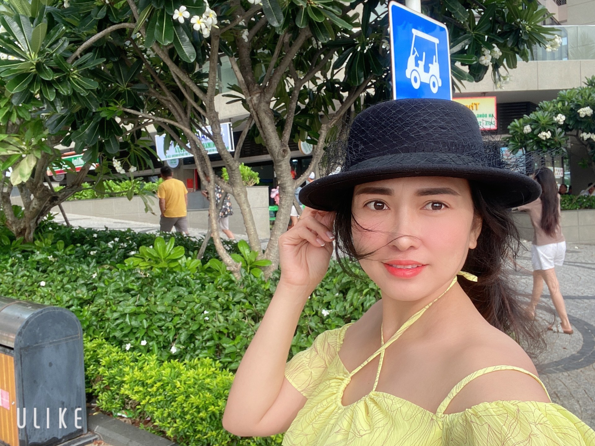 Nguyên Ngọc nghi