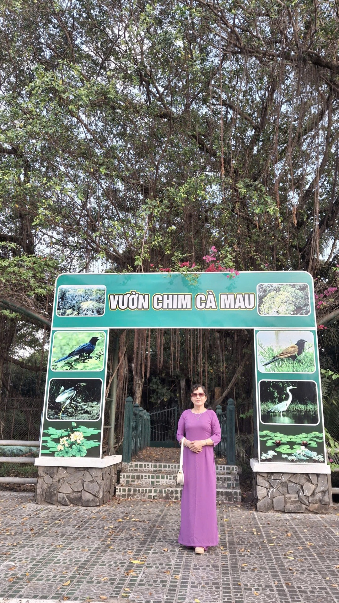 Pham Thi Ngoc Lan