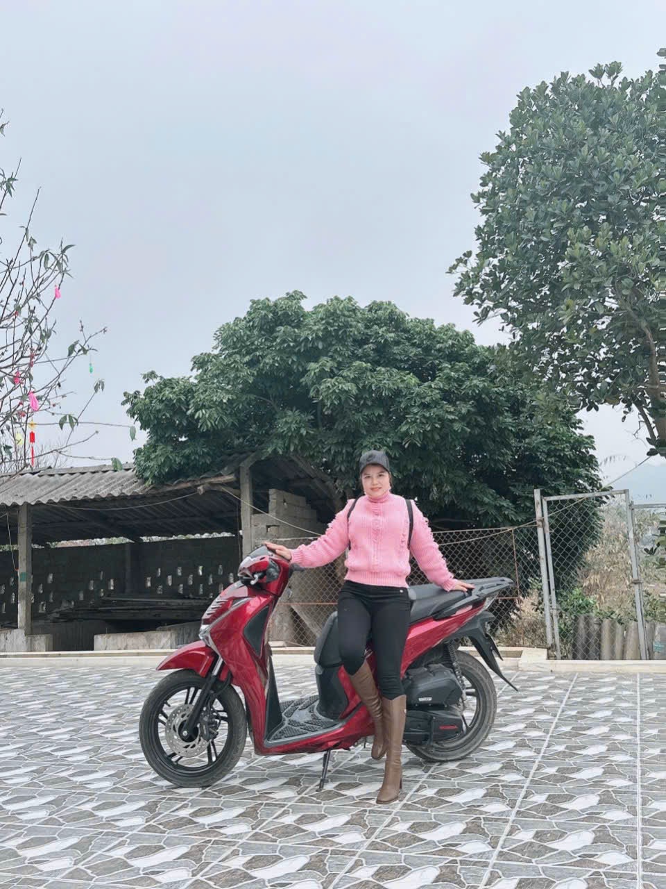 Lan trần