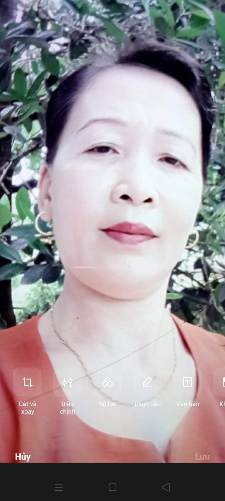 Anh Đào