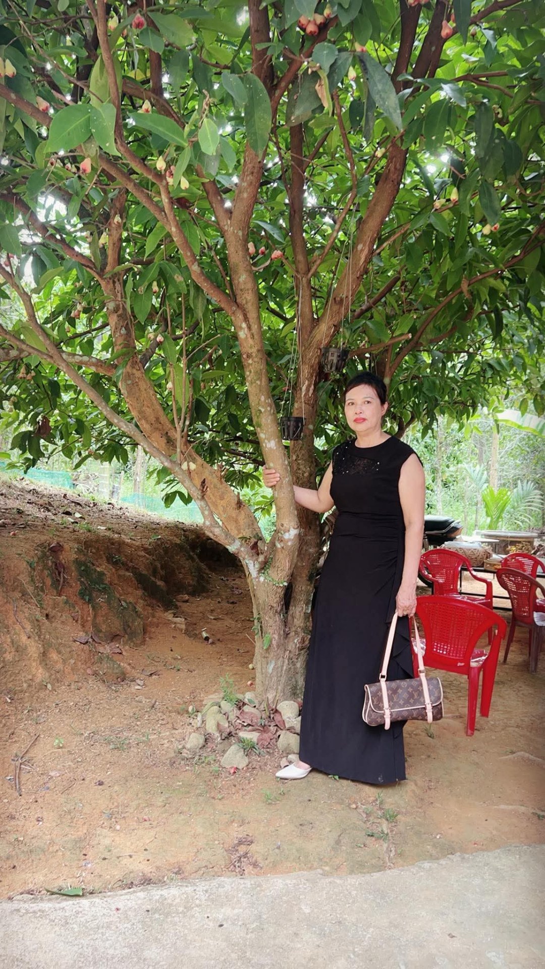 Phan thị anh