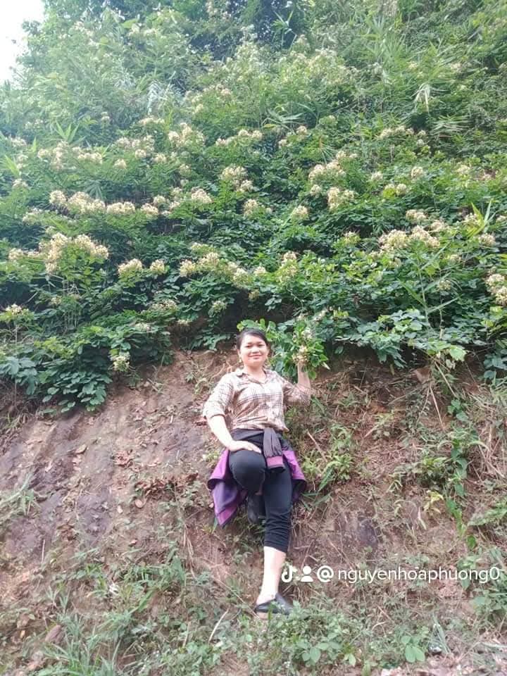 Nguyen Hoa Phuong