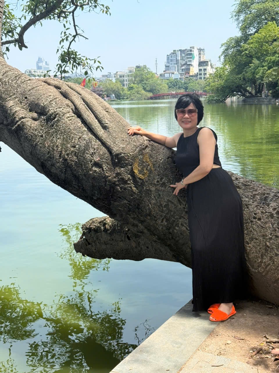 Nguyen Thi Minh Hanh