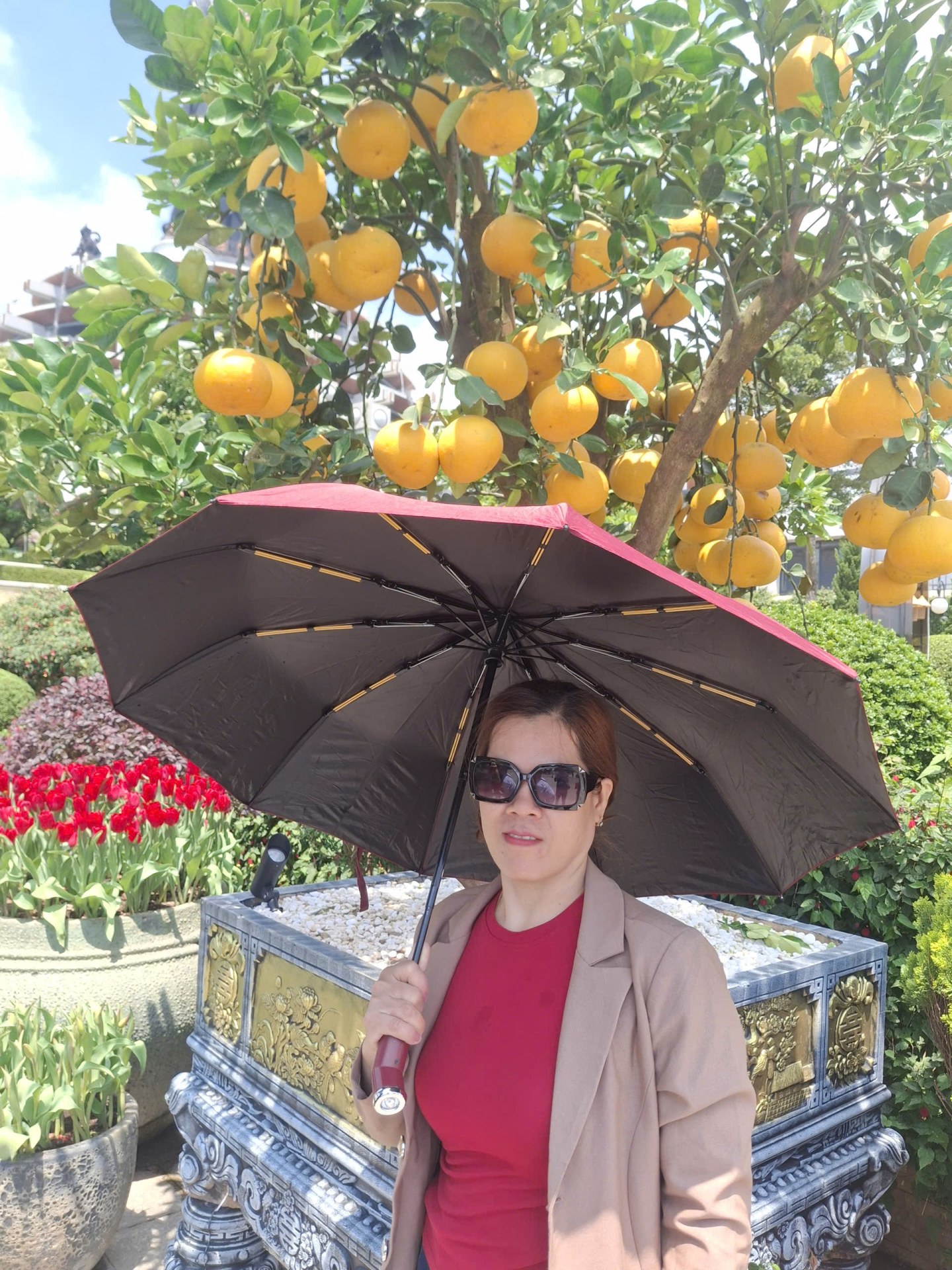 Hồ Thị Út