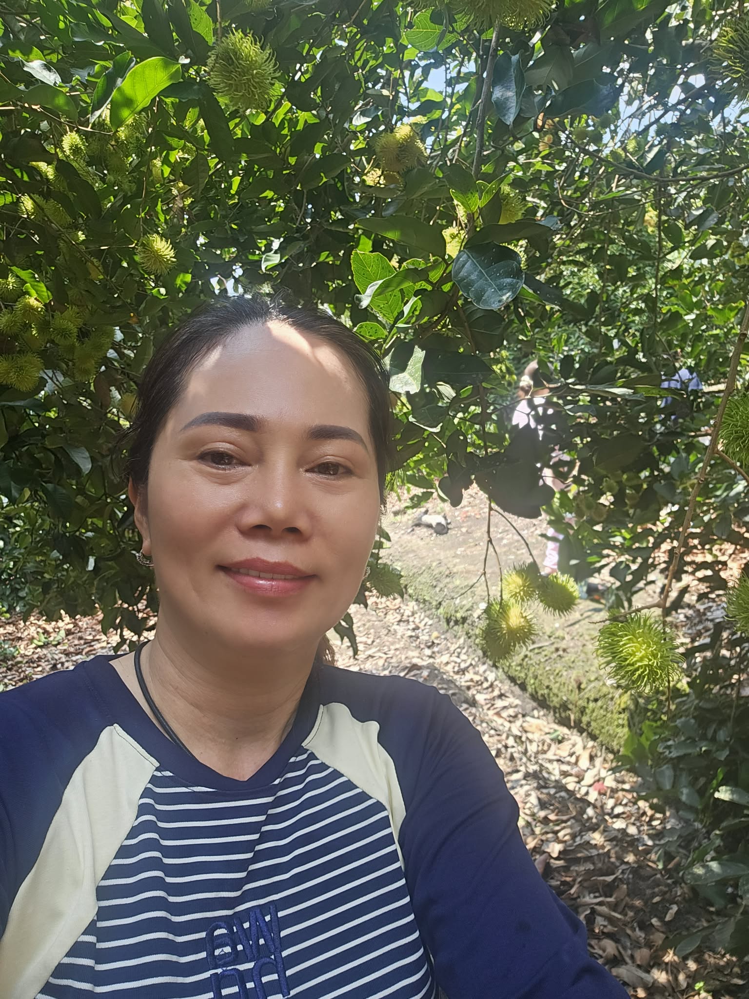 Cẩm Hằng